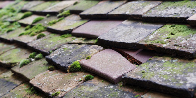 Cwmorgan roof repair costs